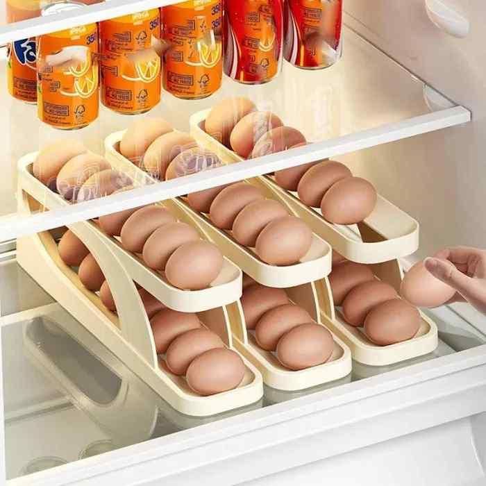 “Egg tray kitchen organizer transparent design”